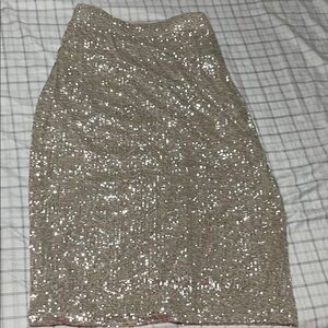 Elegant Sequin Midi Skirt in Silver